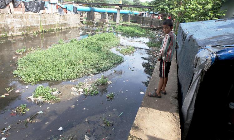 A filthy river in Maharashtra. (Source: IWP photos via Rohit Sharma and Arpita Bhagat)