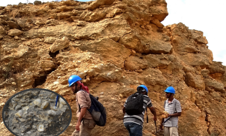 Researchers collect samples at Ariyalur, Tamil Nadu. (Photo courtesy: India Science Wire)