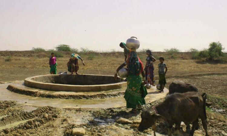 Rapar has many water structures now. (Source: Samerth Trust)