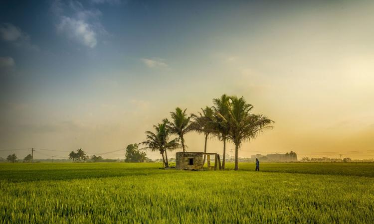 Public investments on water in rainfed areas have much higher social rate of returns (Image: Kannan, Flickr Commons, CC BY-NC-ND 2.0)