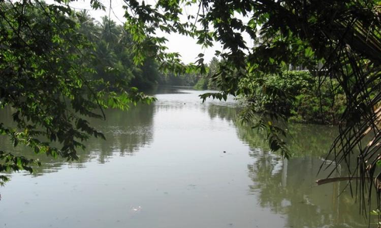 The Karamana river in Thiruvanathapuram, Kerala (Source: India Water Portal)