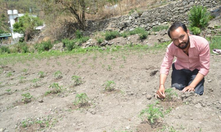 Lokesh Verma at his farm. (Pic courtesy: 101Reporters)