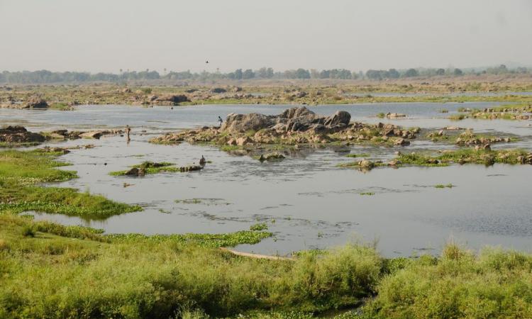 Engagement with indigenous communities in protecting natural forests and rivers is vital (Image: Priya Ranjan Sahoo)