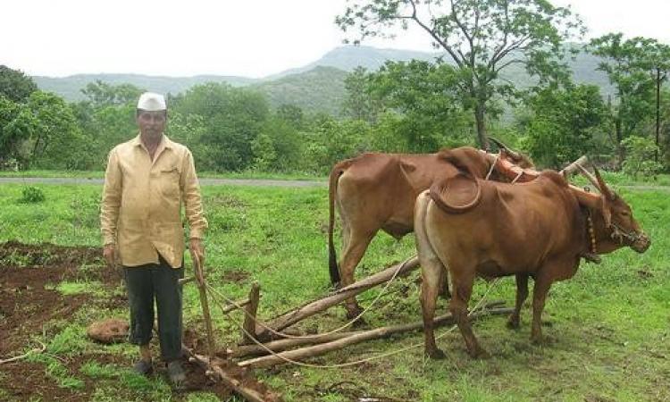 Ready to plough his fields