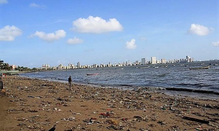 Marine litter on one of the Mumbai beaches. (Image Source: Wikimedia Commons)