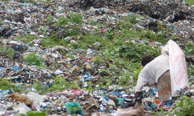 A wastepicker sorts through waste (source: Chicu)