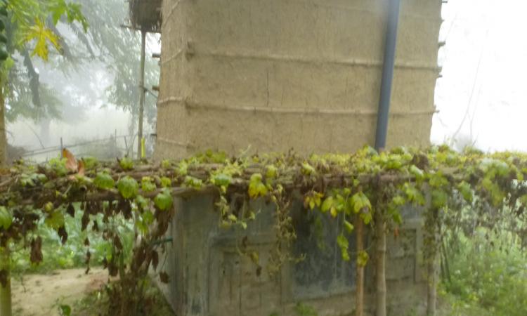 An Eco-san toilet with a kitchen garden next to it