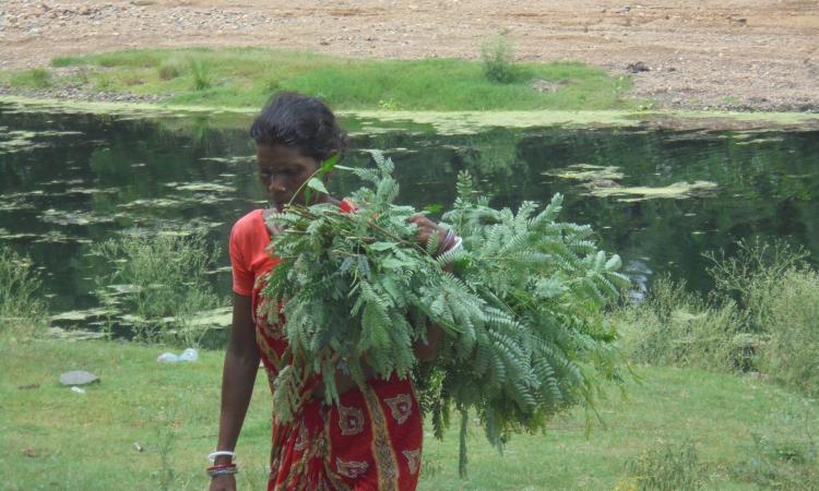 Phaguni is one of the victims of the crisis in farming.