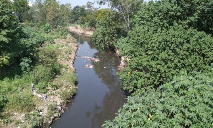 The Paondhoi with hazardous materials and pollutants dumped into it. (Image: India Water Portal)