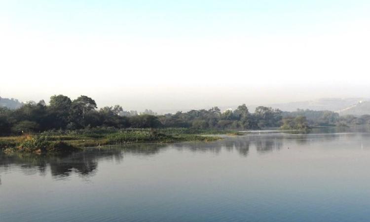 Pashan lake cries for help. (Image Source: Dharmaraj Patil)