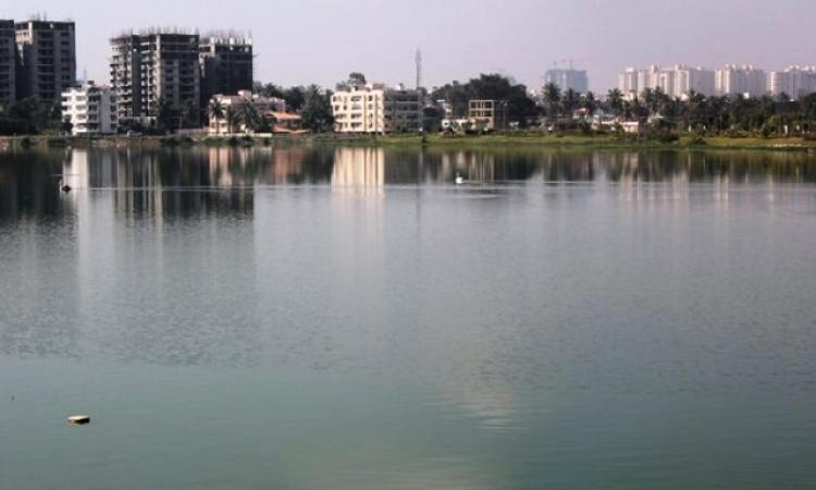 Rachenahalli Lake in Bengaluru (Source: Sumetee Pahwa Gajjar) 