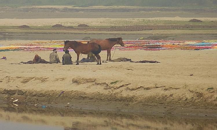 Life along the Ramganga