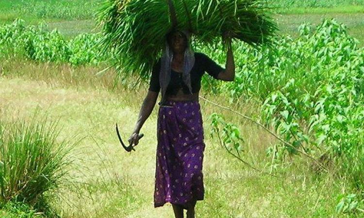 Women in rural areas (Source: Wikimedia Commons)