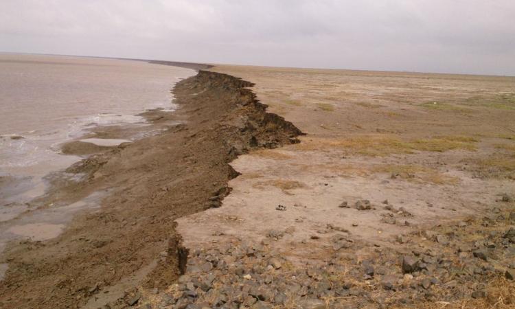 Erosion in high tidal mudflats. (Pic courtesy: ISW)