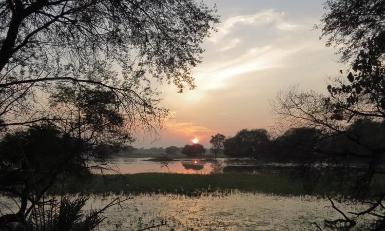 Sun sets on a water body inside Keoladeo National Park. (Image: Swati Sidhu, Wikimedia Commons CC-BY-SA-4.0)