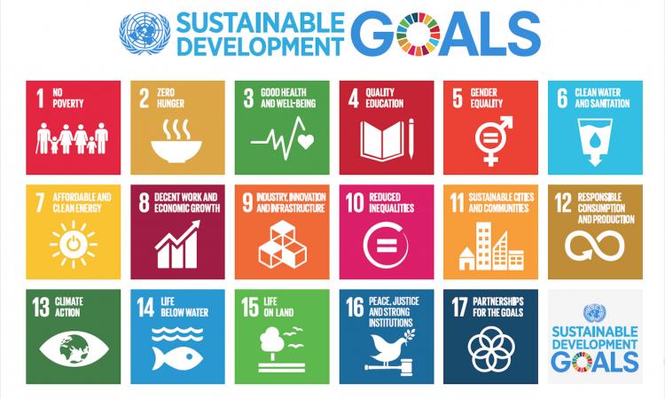 Sustainable Development Goals adopted in 2015 as a part of the 2030 agenda. (Source: Wikipedia Commons)