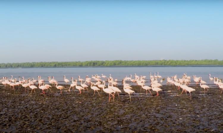 Thane Creek (Source: GIZ)