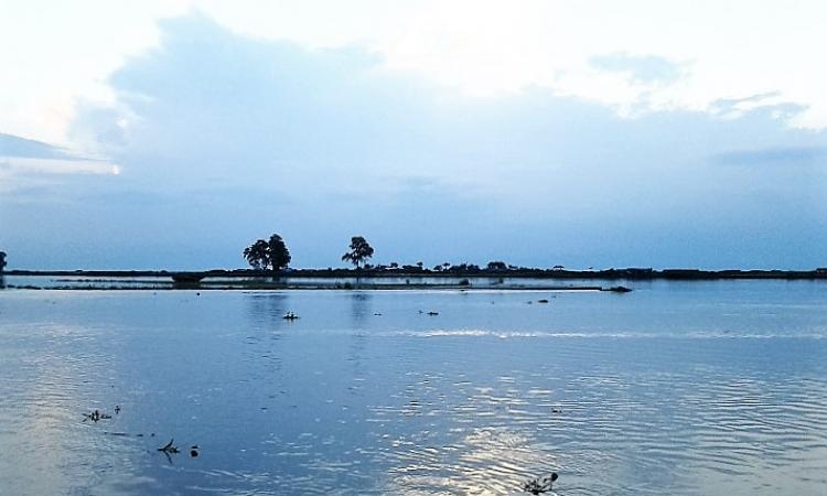 The river Brahmaputra (Source: Wikimedia Commons)