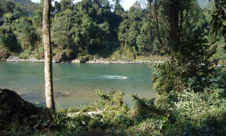 Manas river flowing through wildlife sanctuary