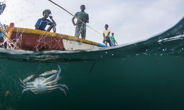 Fishers of Palk Bay out for a catch. Image by: Umeed Mistry