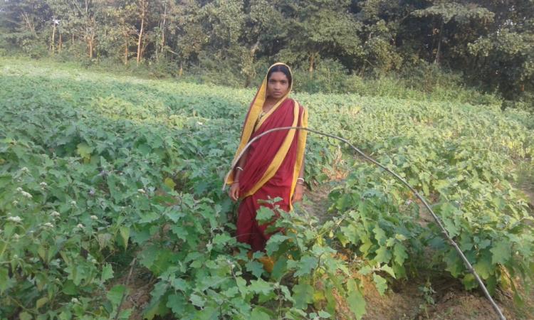 Urmila Mahato at her farm.