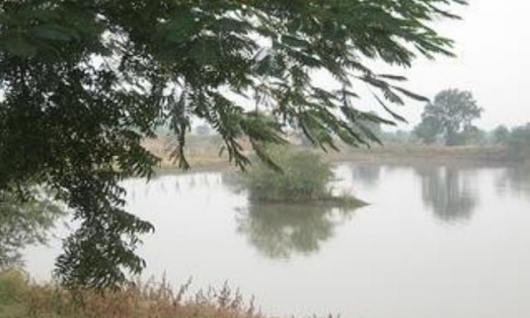 The revived lake in Valni village, Nagpur