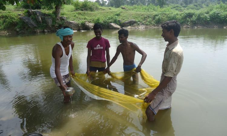 Traditional fishers livelihoods are directly threatened by mechanised fishing methods (Source: Vikas Sahayog Kendra, Palamau)