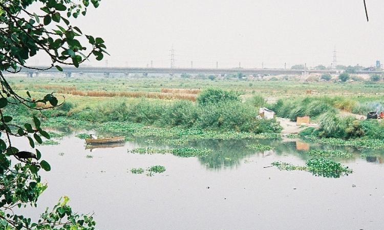 For a river to be healthy & maintain all its associated functions, free flow must be close to 50-60% of the total flow all year round (Source: Wikimedia)