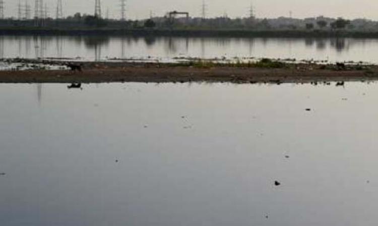 Yamuna in Delhi, Image: PEACE